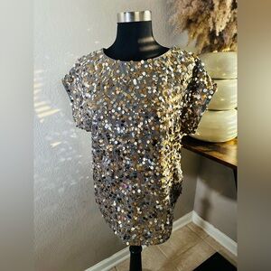 The Limited Gold and Silver Sequin Blouse